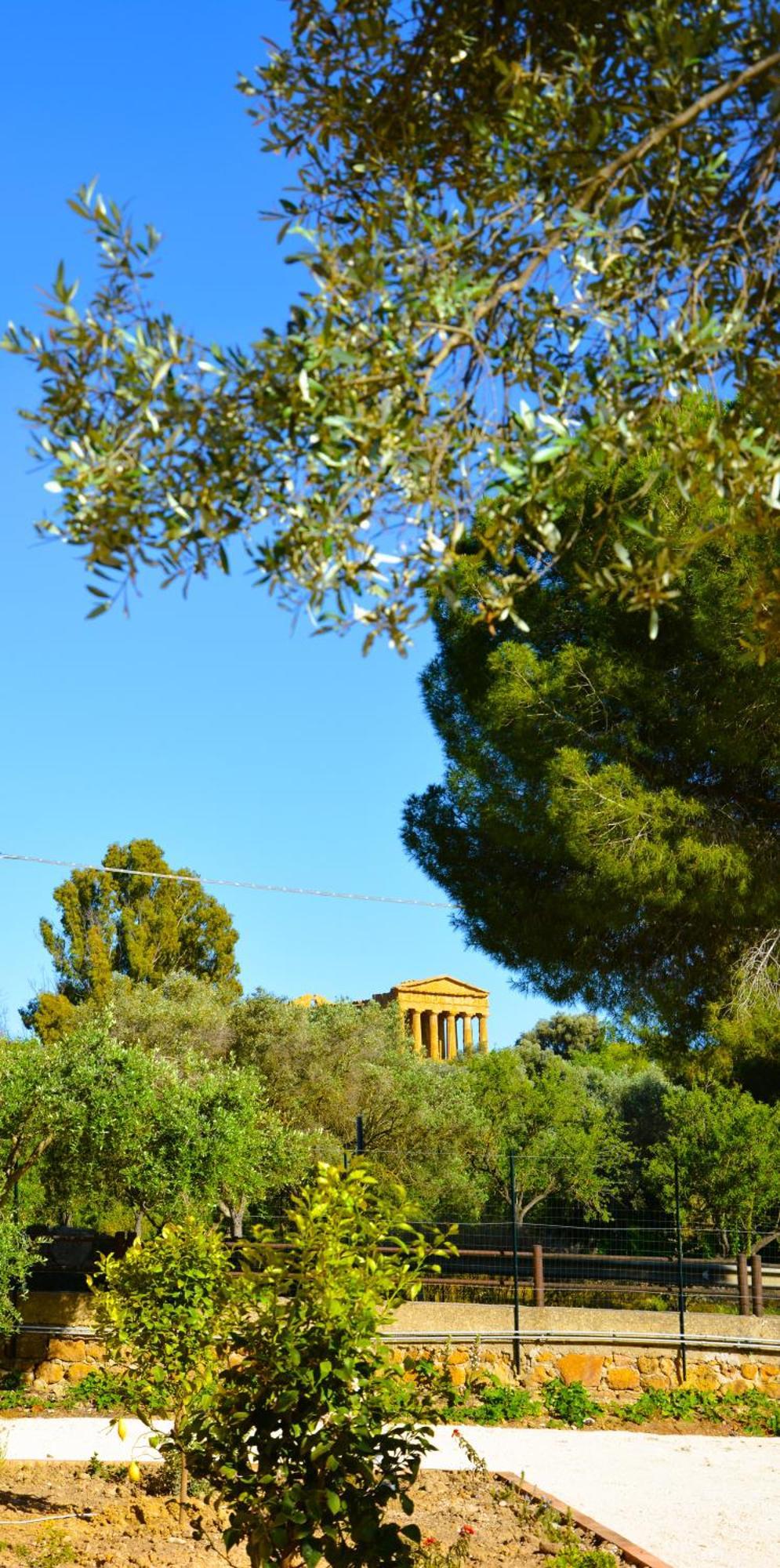 Il Giardino Del Tempio Panzió Agrigento Kültér fotó